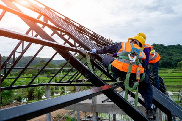 Best Roof Waterproofing Services  in Tecumseh, NE