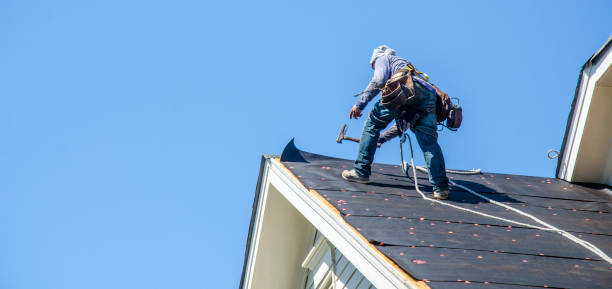 Best Roof Leak Repair  in Tecumseh, NE